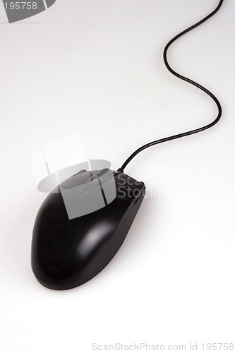 Image of Computer Mouse