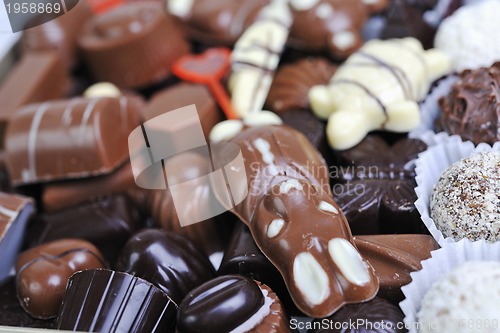 Image of chocolate and praline