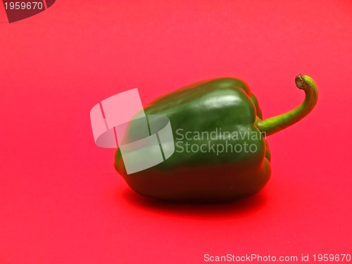 Image of perfect paprika