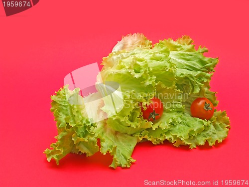 Image of fresh lettuce and tomato on red background