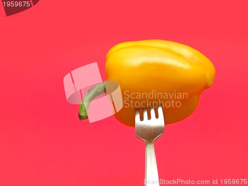 Image of red pepper on red background