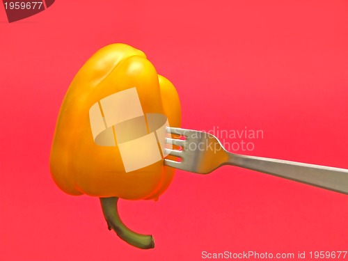 Image of red pepper on red background