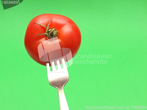 Image of fresh tomato on fork with green background