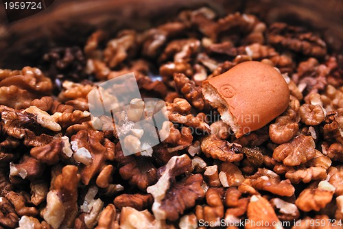 Image of Shreddered nuts and half of a cookie