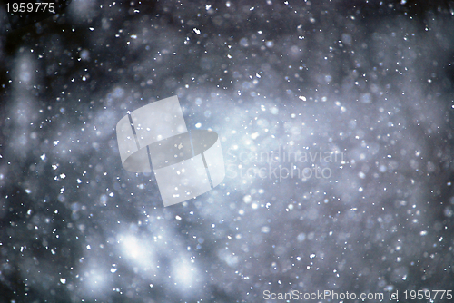 Image of Snowflakes