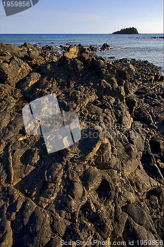 Image of carpet of stone in a beach in nosy be  madagascar