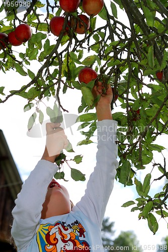 Image of Girl straching for an apple