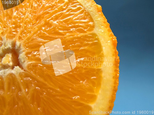 Image of sliced orange macro with blue background