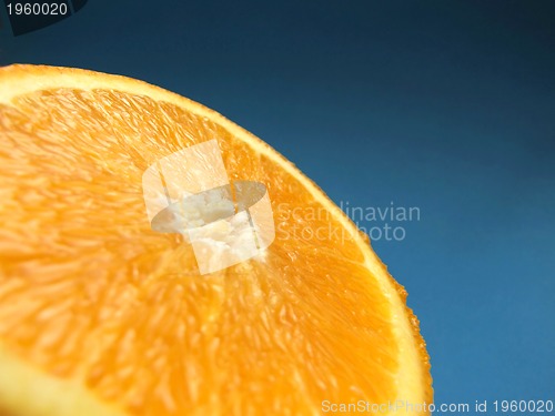 Image of sliced orange macro with blue background