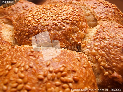 Image of fresh bread closeup