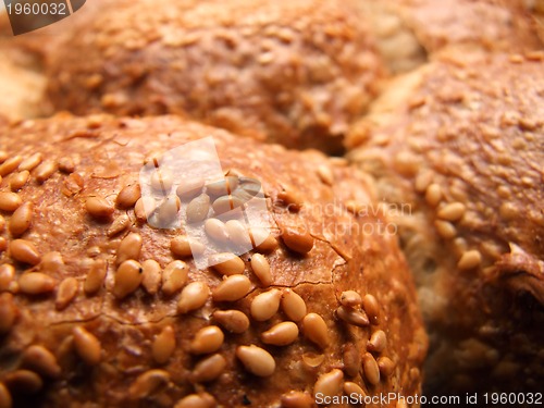Image of fresh bread closeup