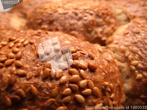Image of fresh bread closeup