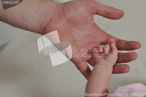 Image of big man hand holding small baby hand