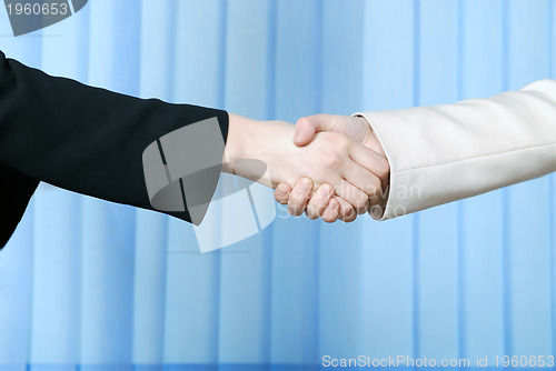 Image of .businesswoman handshake