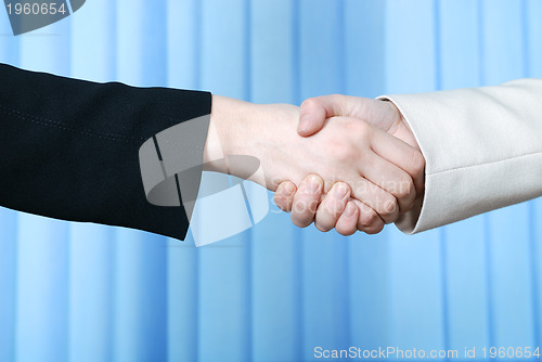 Image of .businesswoman handshake