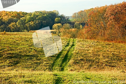 Image of Autumn rural landscape 