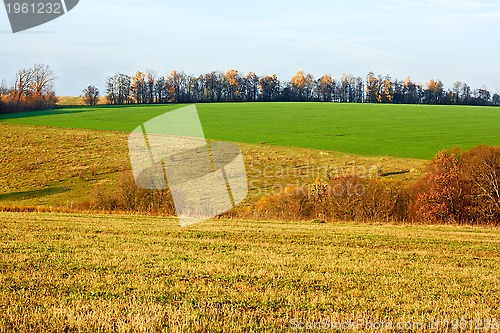 Image of Fields and meadows in autumn