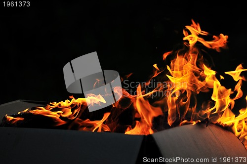 Image of wild fire