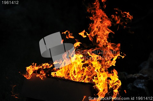 Image of wild fire