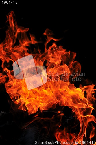 Image of wild fire