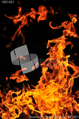 Image of wild fire