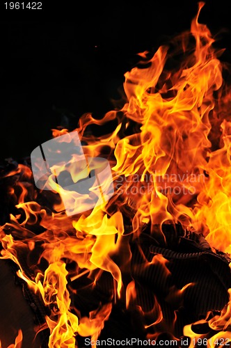 Image of wild fire