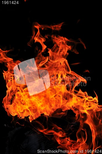 Image of wild fire