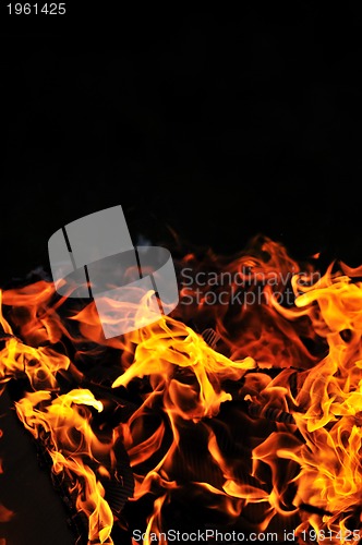 Image of wild fire