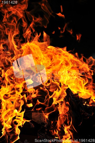 Image of wild fire