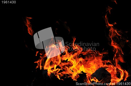 Image of wild fire