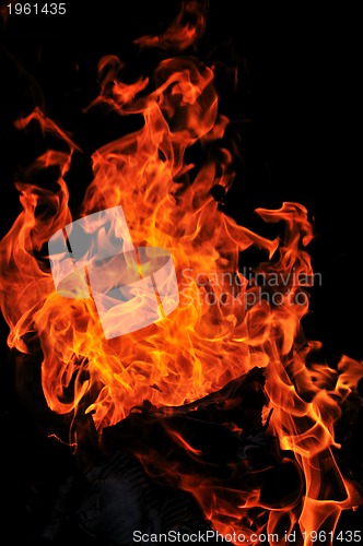 Image of wild fire