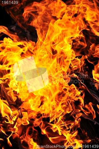 Image of wild fire