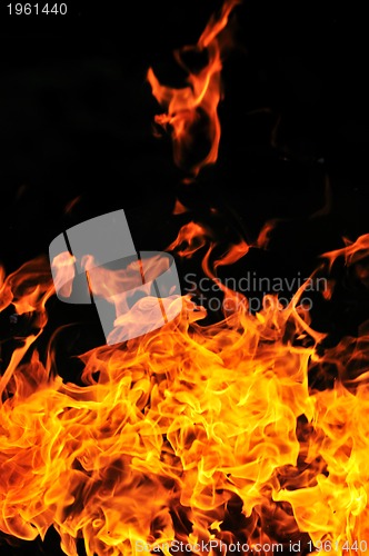 Image of wild fire