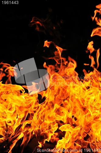 Image of wild fire