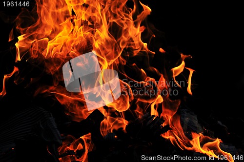 Image of wild fire