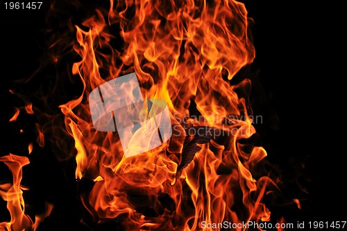 Image of wild fire