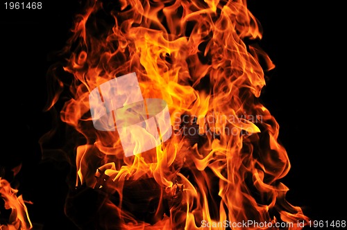 Image of wild fire