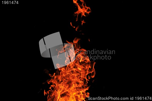 Image of wild fire