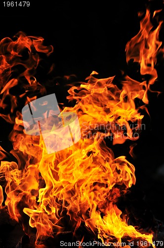 Image of wild fire