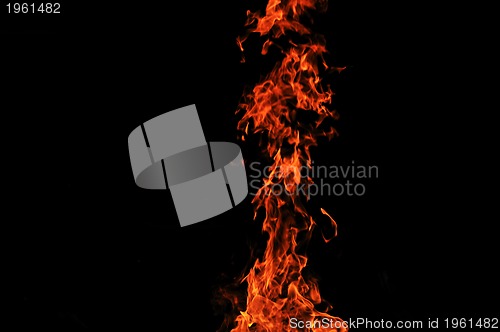 Image of wild fire
