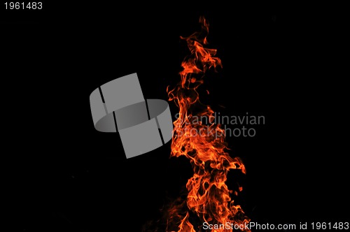 Image of wild fire