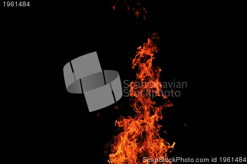 Image of wild fire