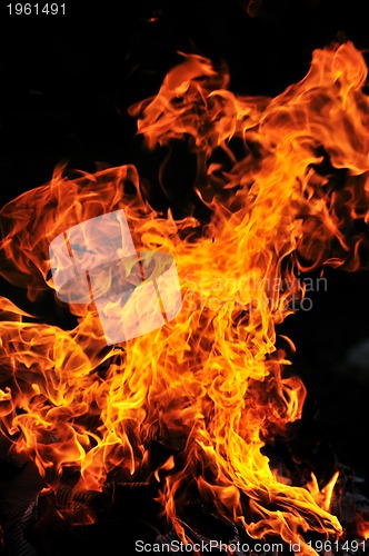 Image of wild fire