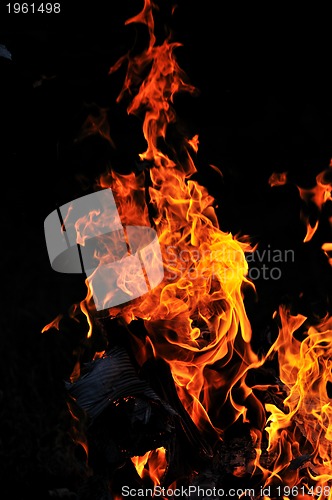 Image of wild fire