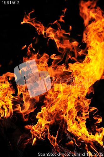 Image of wild fire