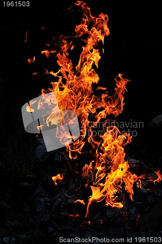 Image of wild fire