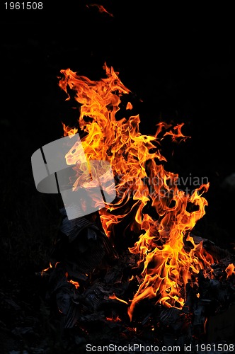 Image of wild fire