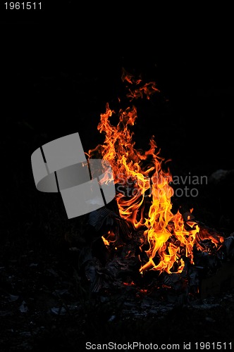 Image of wild fire