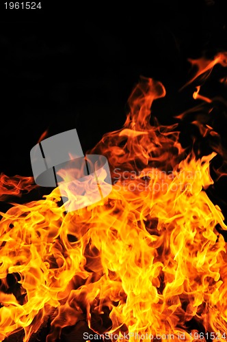 Image of wild fire