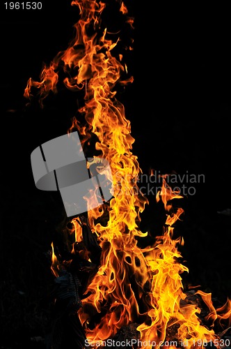 Image of wild fire